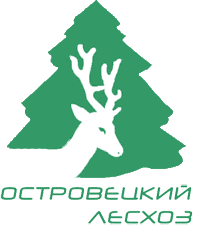 Логотип (отображается только на платных тарифах)