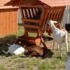 photo_2026-06-04_14-10-10