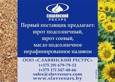 Славянский ресурс, ООО